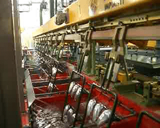 Metalchimica Impianti Sistem de rafturi verticale pentru galvanizare, folosit IA2514